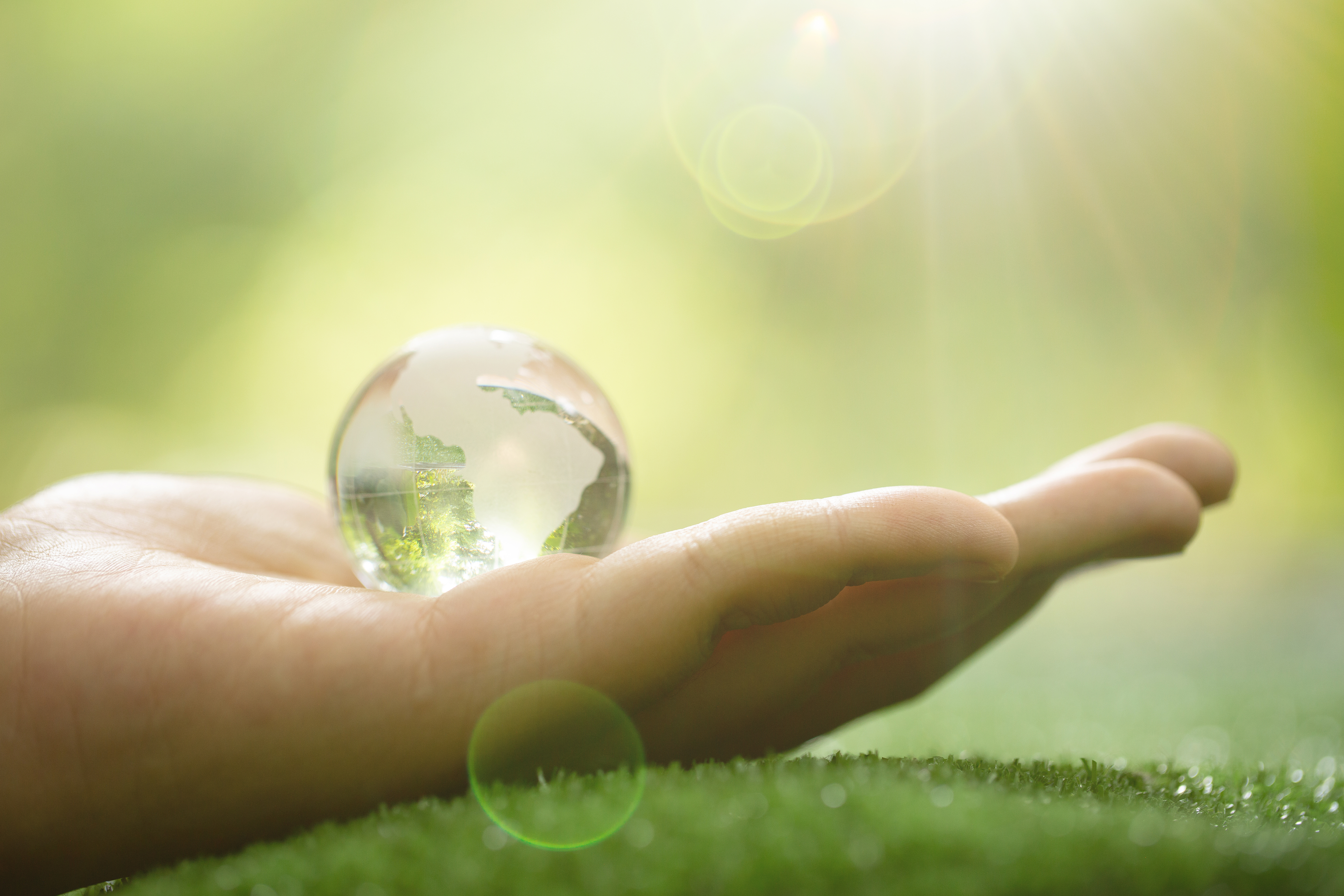 NATURGY lanza la edición 2022 de su programa Cuidemos Nuestros Recursos.